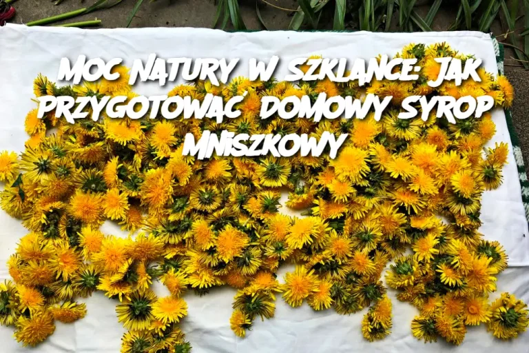 Moc Natury w Szklance: Jak Przygotować Domowy Syrop Mniszkowy