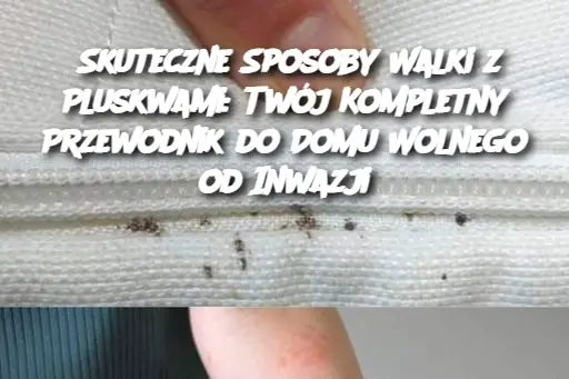 Skuteczne Sposoby Walki z Pluskwami: Twój Kompletny Przewodnik do Domu Wolnego od Inwazji