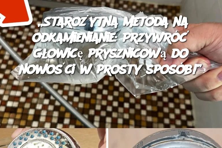 „Starożytna metoda na odkamienianie: Przywróć głowicę prysznicową do nowości w prosty sposób!”