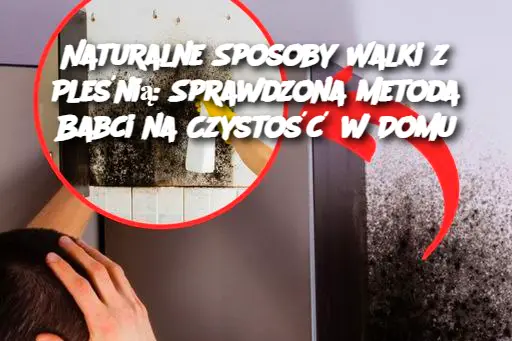 Naturalne Sposoby Walki z Pleśnią: Sprawdzona Metoda Babci na Czystość w Domu