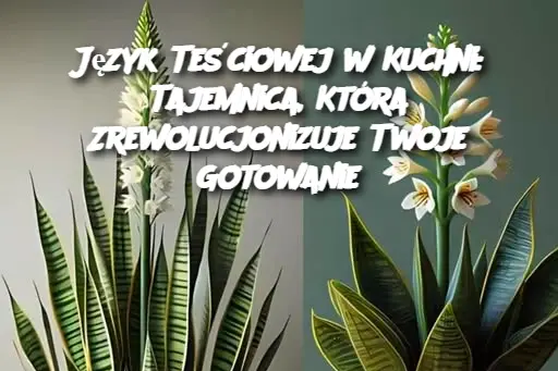 Język Teściowej w Kuchni: Tajemnica, Która Zrewolucjonizuje Twoje Gotowanie