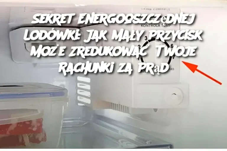 Sekret Energooszczędnej Lodówki: Jak Mały Przycisk Może Zredukować Twoje Rachunki za Prąd