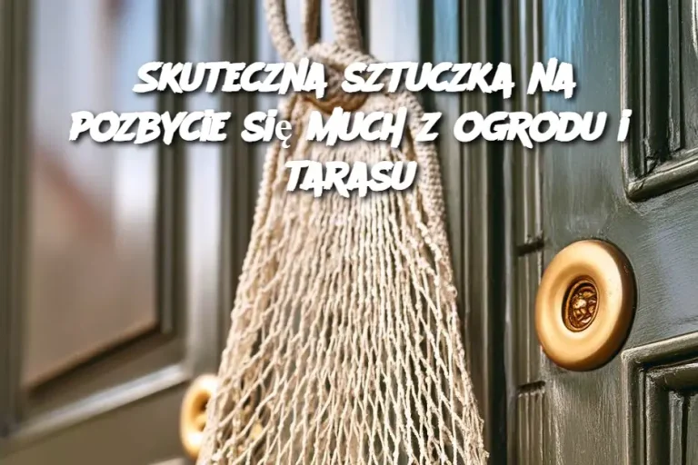 Skuteczna sztuczka na pozbycie się much z ogrodu i tarasu