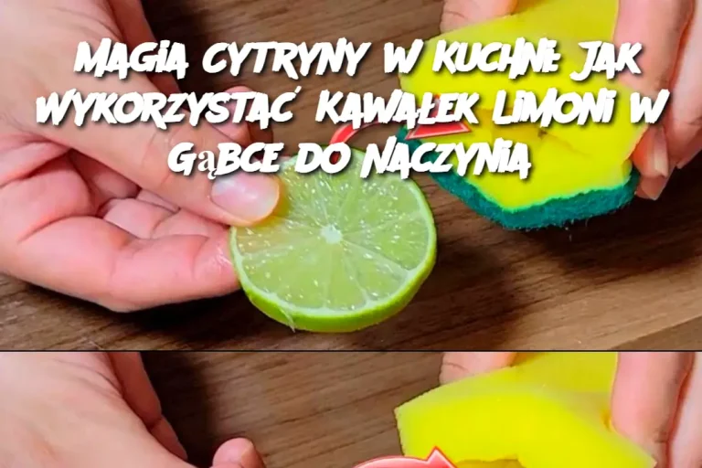 Magia Cytryny w Kuchni: Jak Wykorzystać Kawałek Limoni w Gąbce do Naczynia