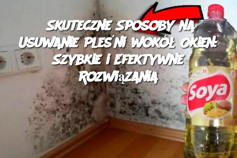 Skuteczne Sposoby na Usuwanie Pleśni wokół Okien: Szybkie i Efektywne Rozwiązania