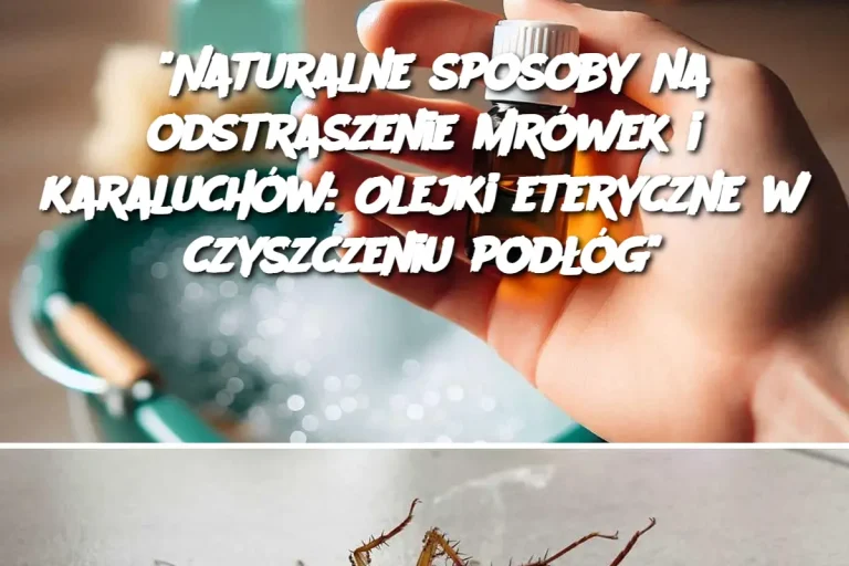 “Naturalne sposoby na odstraszenie mrówek i karaluchów: Olejki eteryczne w czyszczeniu podłóg”