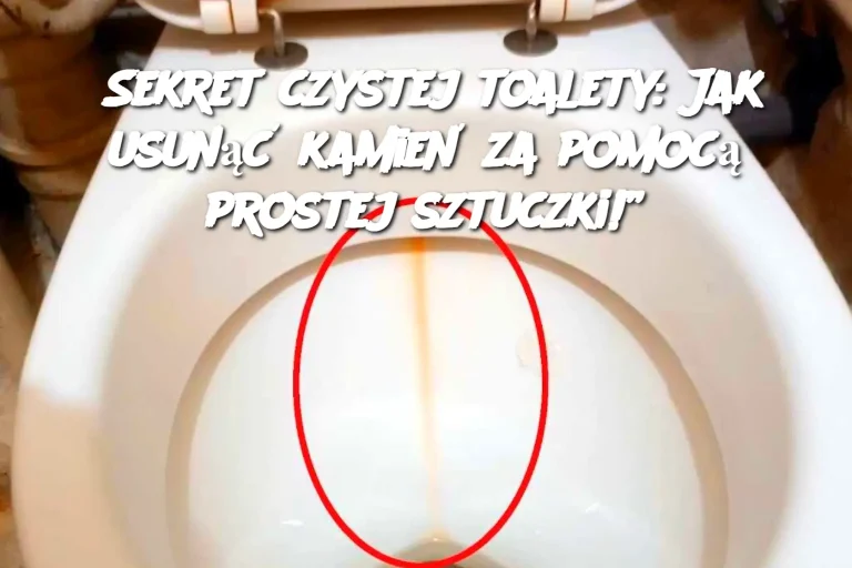 Sekret czystej toalety: Jak usunąć kamień za pomocą prostej sztuczki!