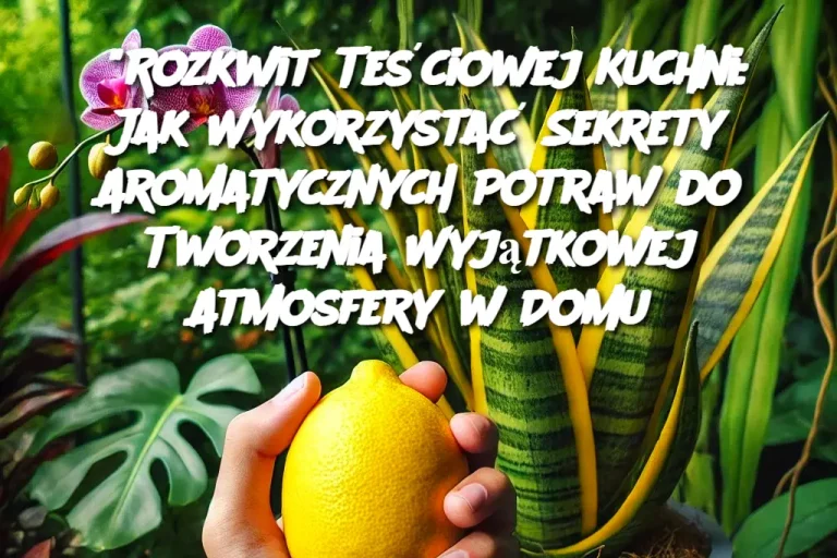 “Rozkwit Teściowej Kuchni: Jak Wykorzystać Sekrety Aromatycznych Potraw do Tworzenia Wyjątkowej Atmosfery w Domu