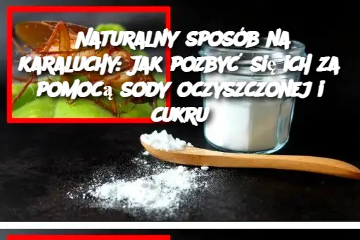 Naturalny sposób na karaluchy: Jak pozbyć się ich za pomocą sody oczyszczonej i cukru