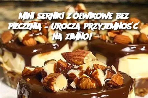 Mini serniki żółwikowe bez pieczenia – Urocza przyjemność na zimno! Edi tor