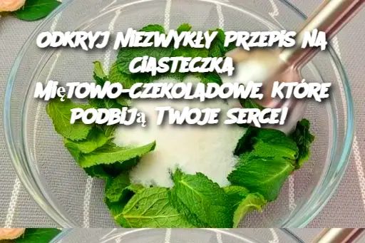 Odkryj Niezwykły Przepis na Ciasteczka Miętowo-Czekoladowe, Które Podbiją Twoje Serce!