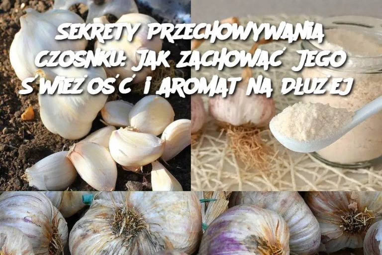 Sekrety Przechowywania Czosnku: Jak Zachować Jego Świeżość i Aromat na Dłużej