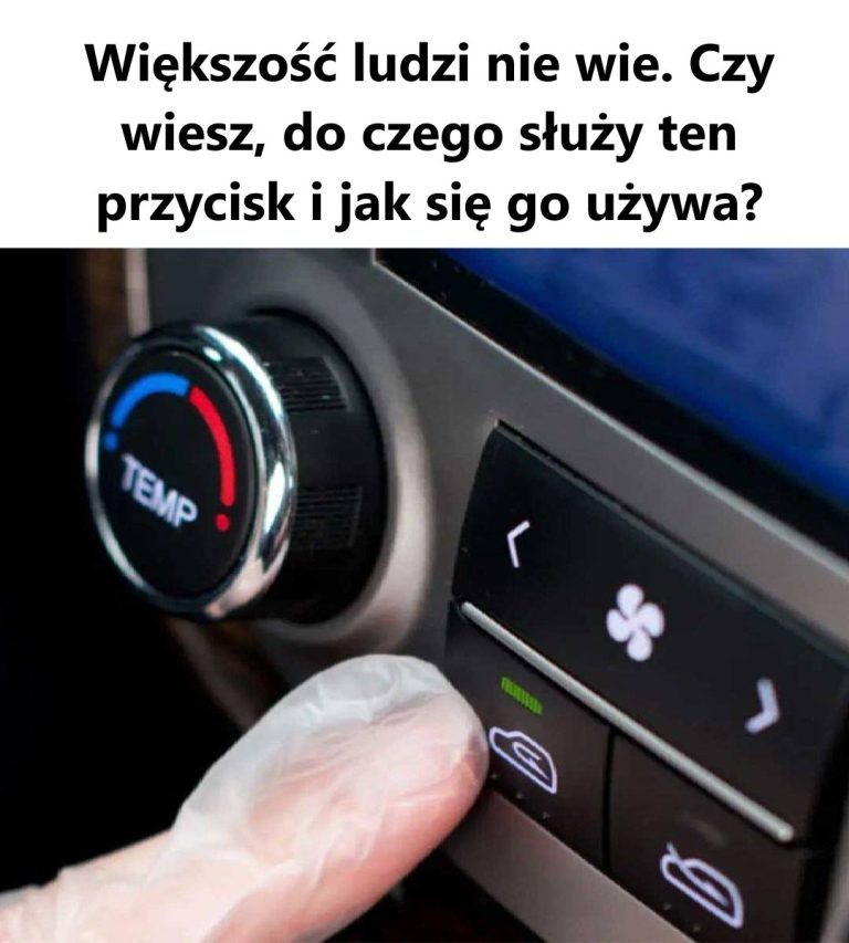 Odkrywanie Tajemnic Przepisu: Nigdy Nie Wiedziałem, Co To Robi