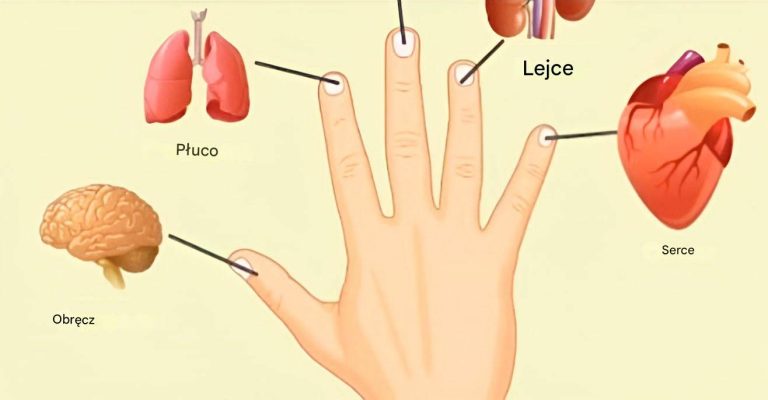 Japońska metoda samoleczenia: jak palce mogą wspierać zdrowie Twoich organów w 5 minut