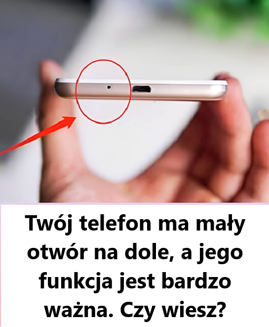 Do czego służy mały otwór na dole telefonu?