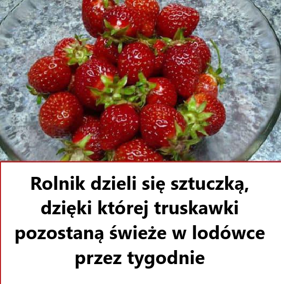 Jak zachować świeżość truskawek na dłużej