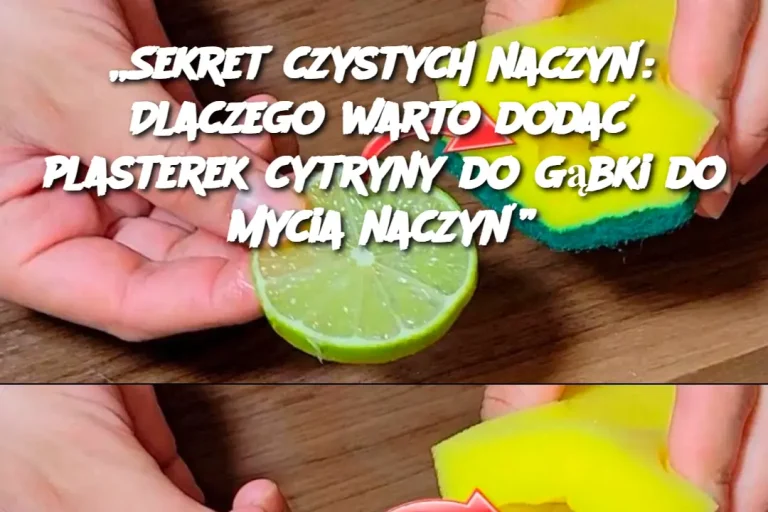 „Sekret czystych naczyń: Dlaczego warto dodać plasterek cytryny do gąbki do mycia naczyń”