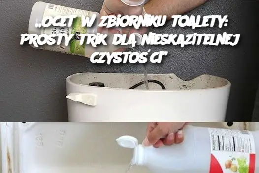 „Ocet w zbiorniku toalety: Prosty trik dla nieskazitelnej czystości”