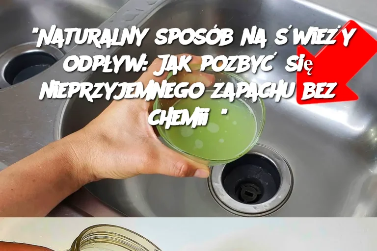 “Naturalny sposób na świeży odpływ: Jak pozbyć się nieprzyjemnego zapachu bez chemii?”