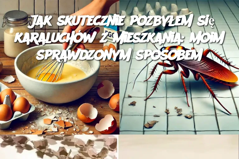 Jak skutecznie pozbyłem się karaluchów z mieszkania: moim sprawdzonym sposobem