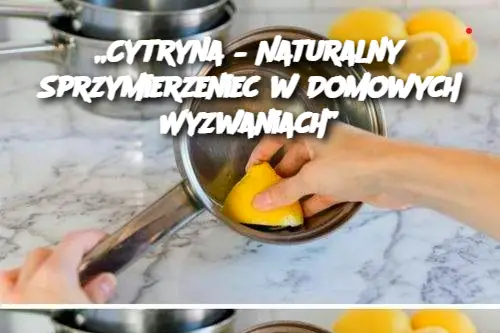 „Cytryna – Naturalny Sprzymierzeniec w Domowych Wyzwaniach”