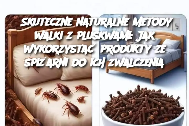 Skuteczne naturalne metody walki z pluskwami: Jak wykorzystać produkty ze spiżarni do ich zwalczenia