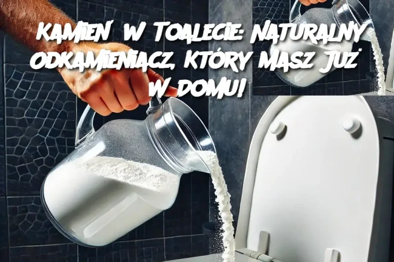 Kamień w Toalecie: Naturalny Odkamieniacz, Który Masz Już W Domu!