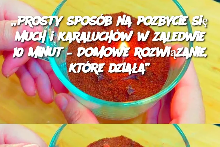 „Prosty sposób na pozbycie się much i karaluchów w zaledwie 10 minut – Domowe rozwiązanie, które działa”