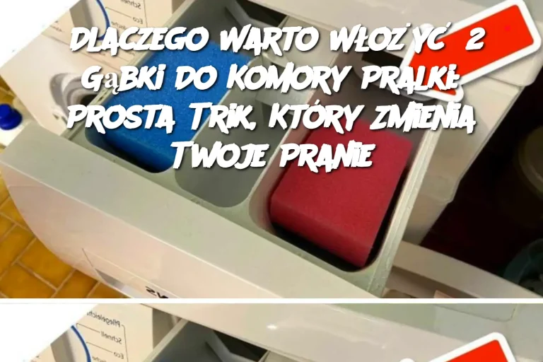 Dlatego do komory pralki należy włożyć 2 gąbki👇👇