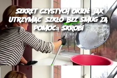 Sekret Czystych Okien: Jak Utrzymać Szkło Bez Smug Za Pomocą Skrobi