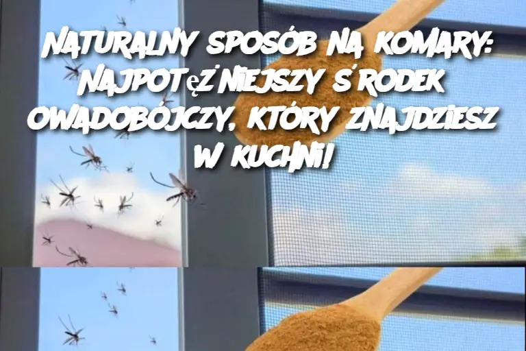 Naturalny sposób na komary: Najpotężniejszy środek owadobójczy, który znajdziesz w kuchni!