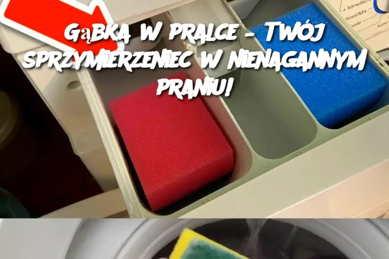 Gąbka w pralce – Twój sprzymierzeniec w nienagannym praniu!