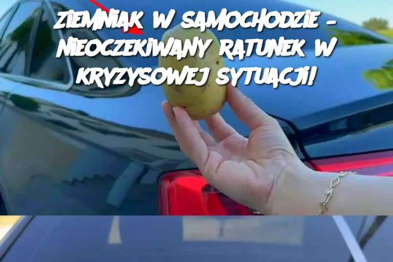 Ziemniak w samochodzie – nieoczekiwany ratunek w kryzysowej sytuacji!