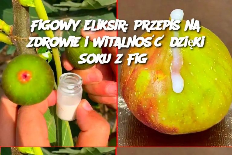 Figowy Eliksir: Przepis na Zdrowie i Witalność dzięki Soku z Fig