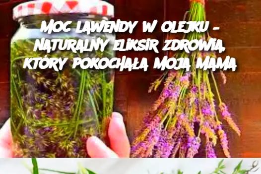 Moc lawendy w olejku – naturalny eliksir zdrowia, który pokochała moja mama