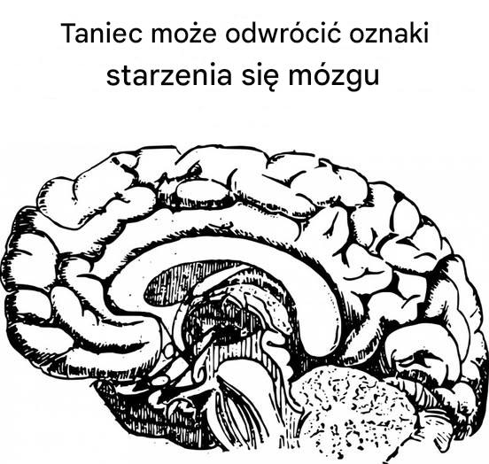 Taniec może odwrócić oznaki starzenia się mózgu