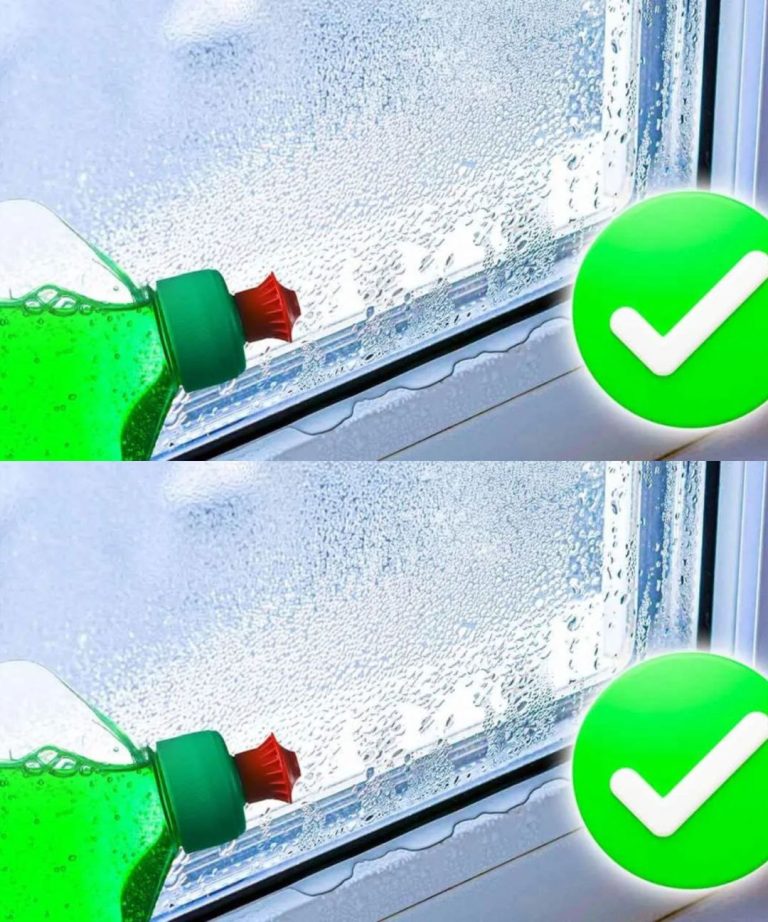 🌫️ Zaparowane Okna? Ten Domowy Trik z Płynem do Naczyń Utrzyma Szyby Suche Nawet Przez 4 Tygodnie!