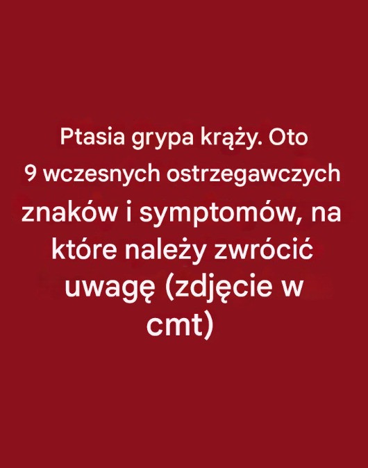 Ptasia grypa krąży. Oto 9 wczesnych ostrzegawczych znaków i symptomów, na które należy zwrócić uwagę