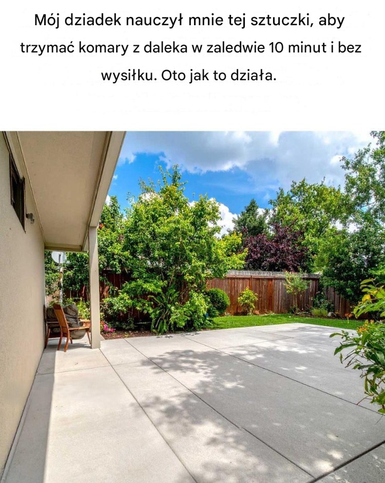 Mój dziadek nauczył mnie tej sztuczki, aby trzymać komary z daleka w zaledwie 10 minut i bez wysiłku.