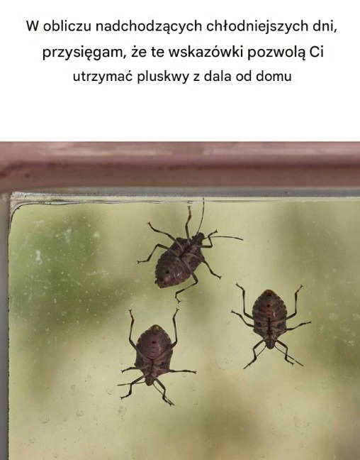 Czy wiedziałeś o tym? Dziś dowiedziałem się czegoś nowego!