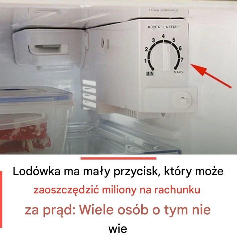 Zrób to z liściem laurowym – domowy trik, o którym mało kto słyszał