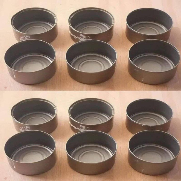 Zaskakujące zastosowania puszek po tuńczyku: domowe złoto w stylu zero waste