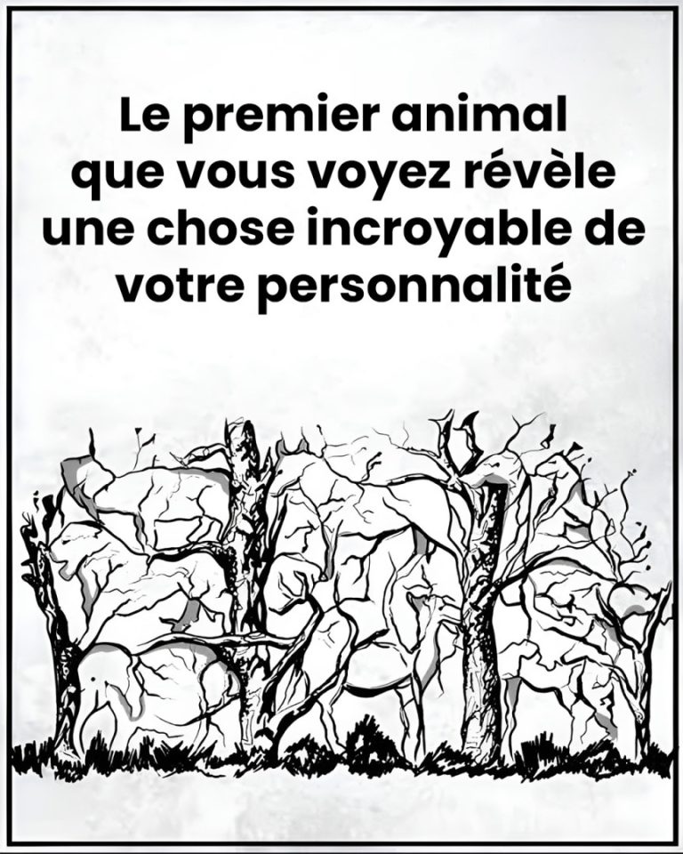 Le premier animal que vous verrez révélera des choses sur votre personnalité