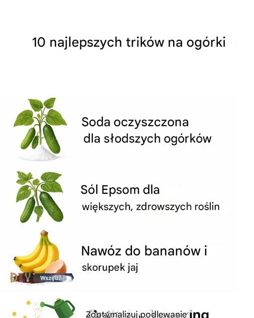 10 najlepszych trików na ogórki