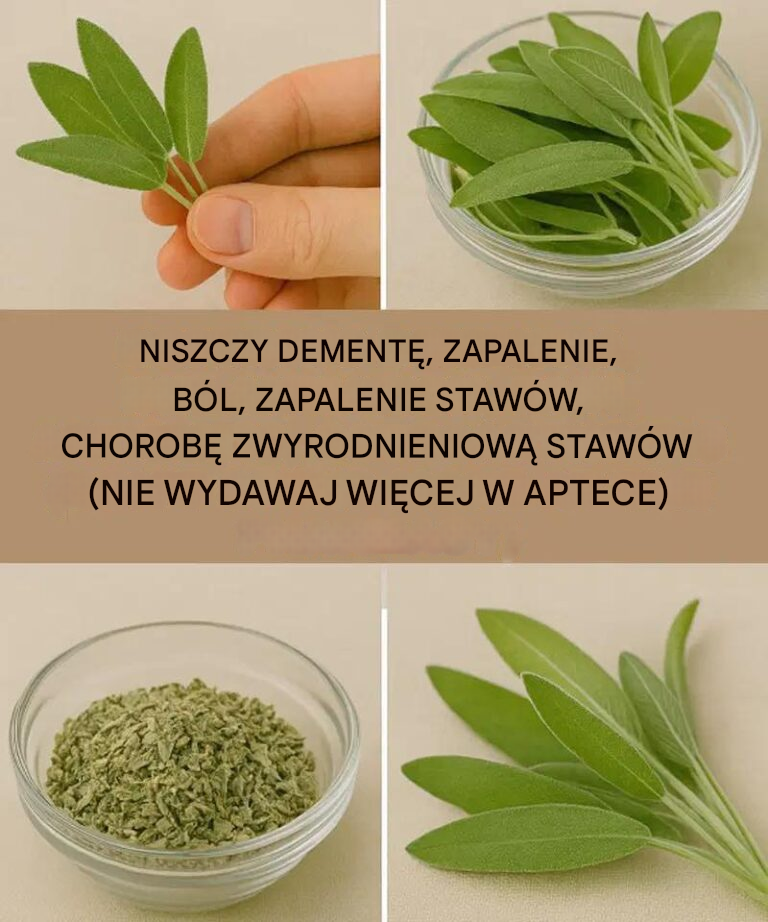 Naturalny cud dla zdrowia mózgu, stanów zapalnych i bólu stawów