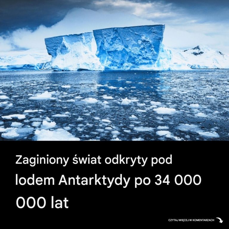Zamrożony przez 34 miliony lat: Zaginiony świat znaleziony pod lodem Antarktydy